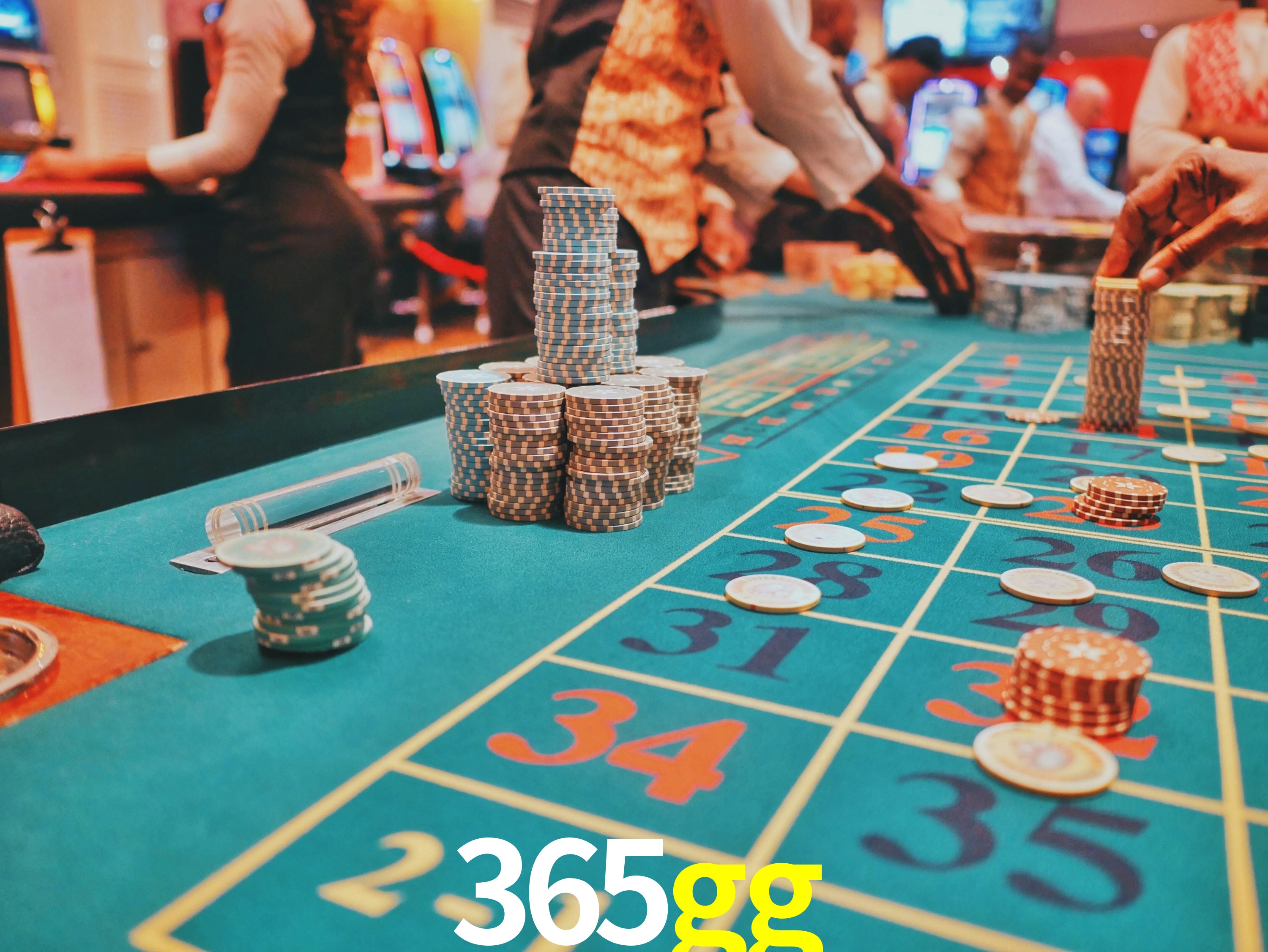 Sports Statistics 365gg