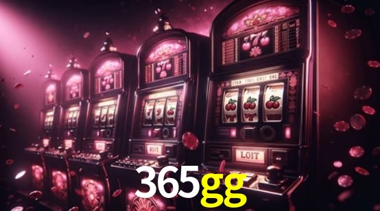 Interface Premium 365gg